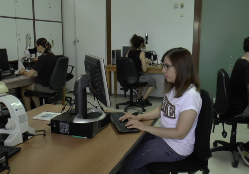 vlcsnap-2023-11-27-14h14m16s526